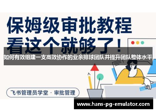 如何有效组建一支高效协作的业余排球团队并提升团队整体水平