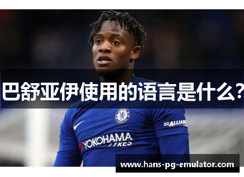 巴舒亚伊使用的语言是什么？