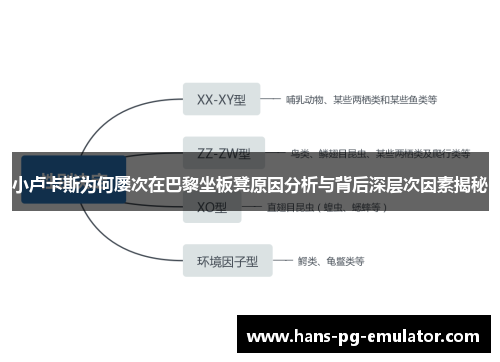 小卢卡斯为何屡次在巴黎坐板凳原因分析与背后深层次因素揭秘