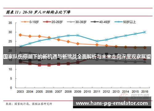 国家队伤停潮下的新机遇与新挑战全面解析与未来走向深度观察展望